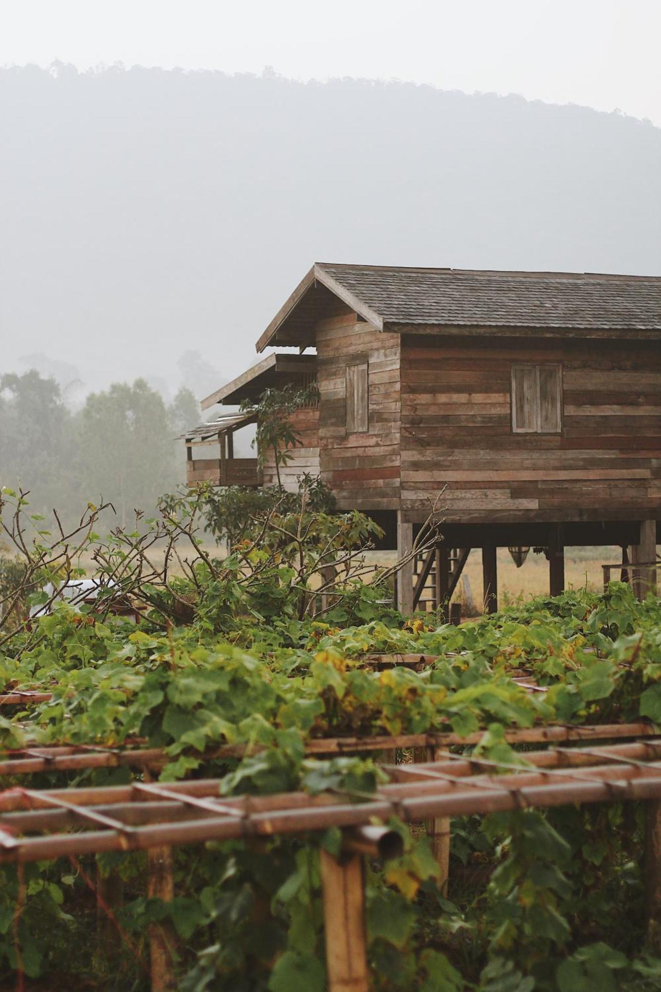 Phuruarounmai Organic Living Resort Loei Extérieur photo