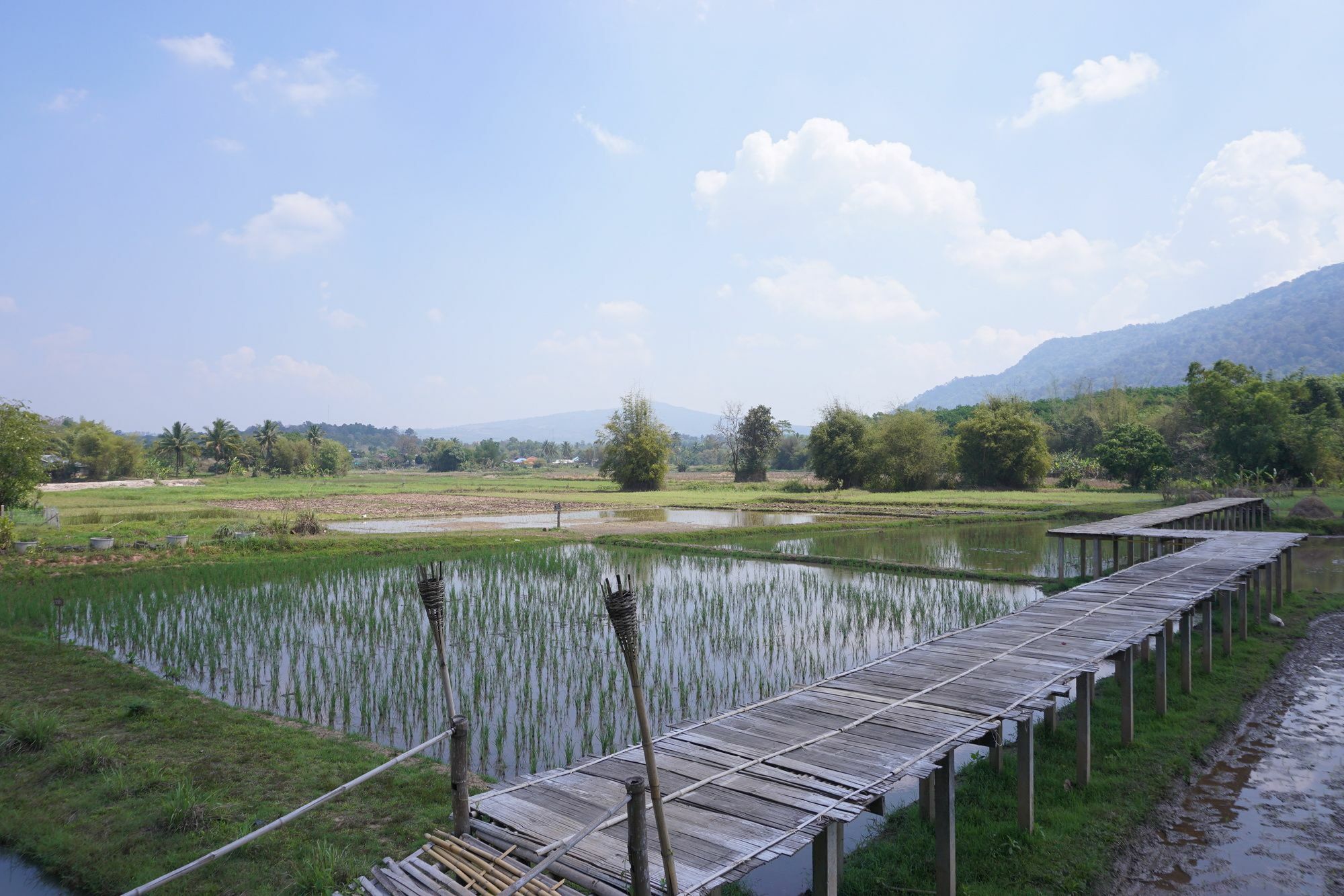 Phuruarounmai Organic Living Resort Loei Extérieur photo